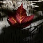 Maple Leaf, Canada